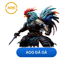 Cá cược thể thao h bet