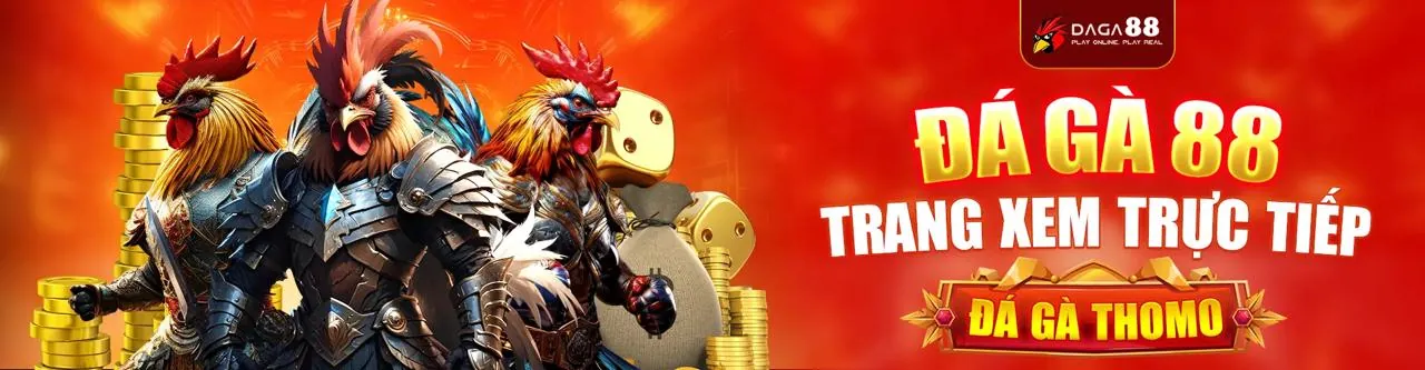 Đấu gà trực tuyến kịch tính tại h bet